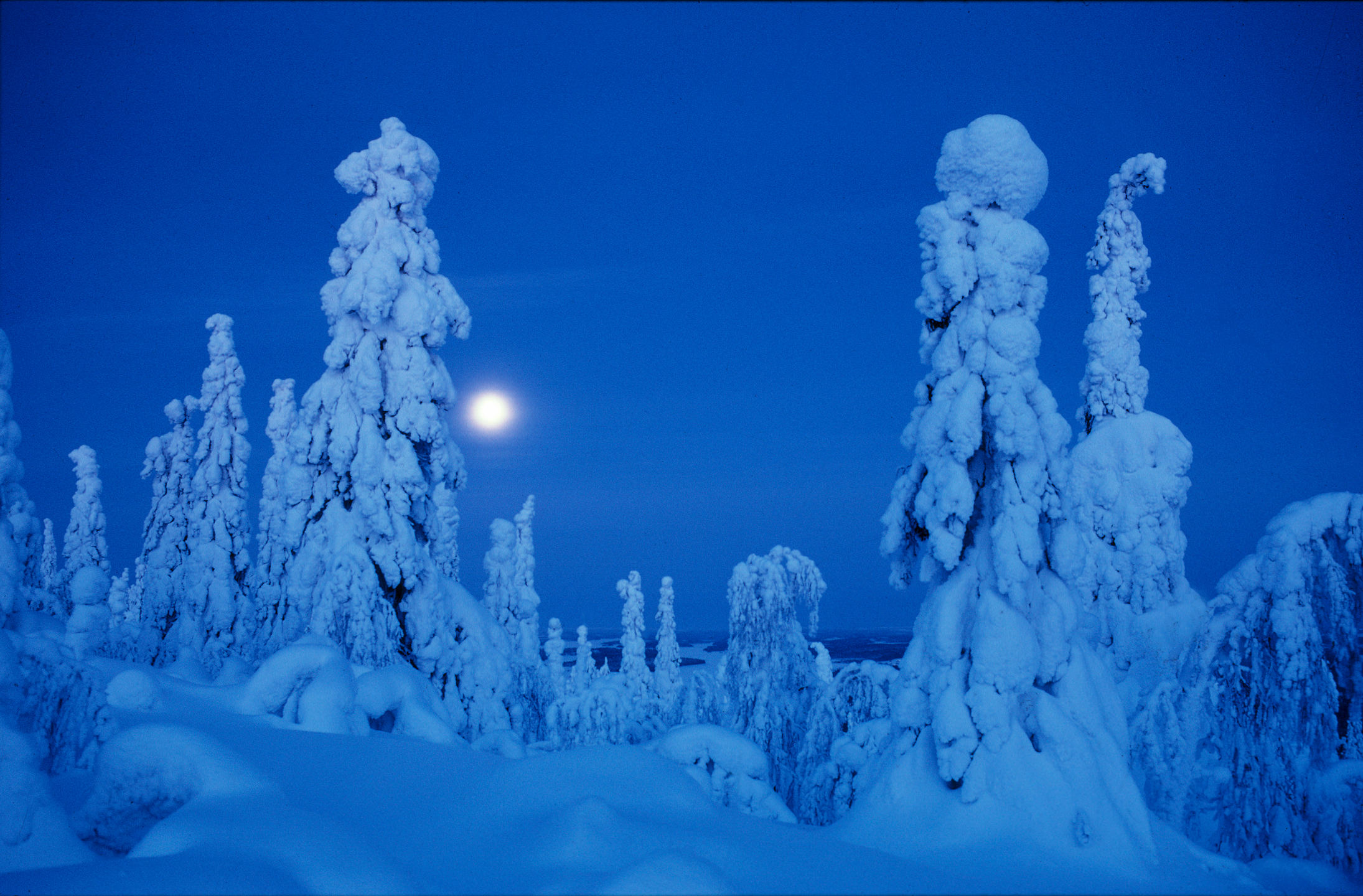 Nature reference image from polar climate set